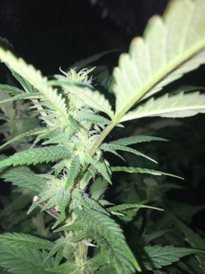 Our Babies Are Growing Up...
