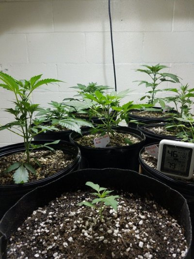 20180110_035019.jpg