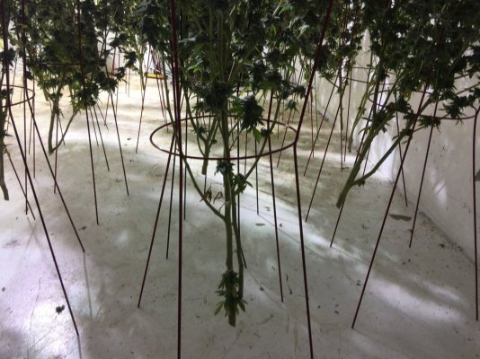 Adub Sancho Og 6000 Way Hps Sealed Room