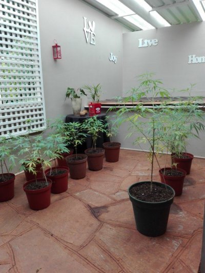 Please Tell Me Whats Wrong With My Girls?