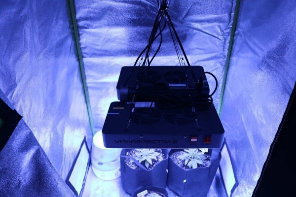 my-3x3x5-setup-for-beginners.jpg