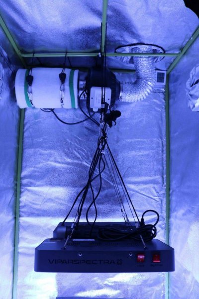 my-3x3x5-setup-for-beginners-2.jpg