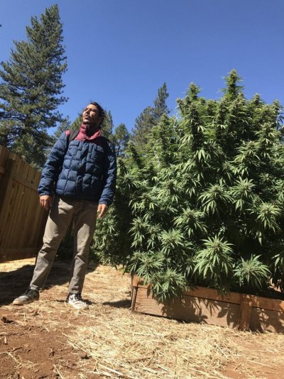 Hello Everybody!! I’ve Been Farming Greenhouses And Outdoor For The Last 8 Years Only!! Looking To L