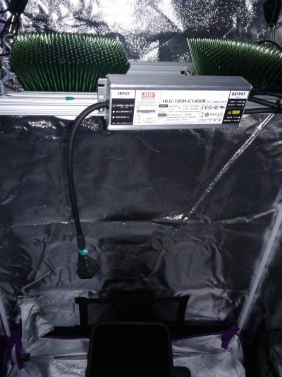 36-x-20-x-62-inch--tent-2.jpg