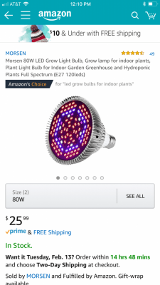 anyone-use-led-bulb-lights-2.png