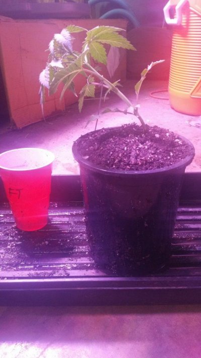 20180212_072317.jpg