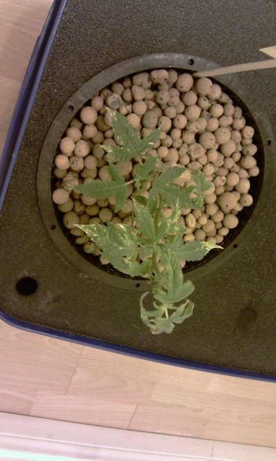 IMAG0042.jpg