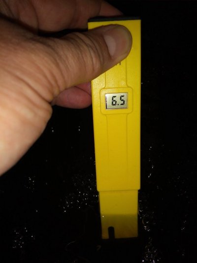 20180219_121503.jpg