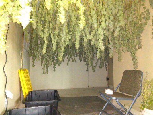 The Birth Of Indoor No Till Gardening