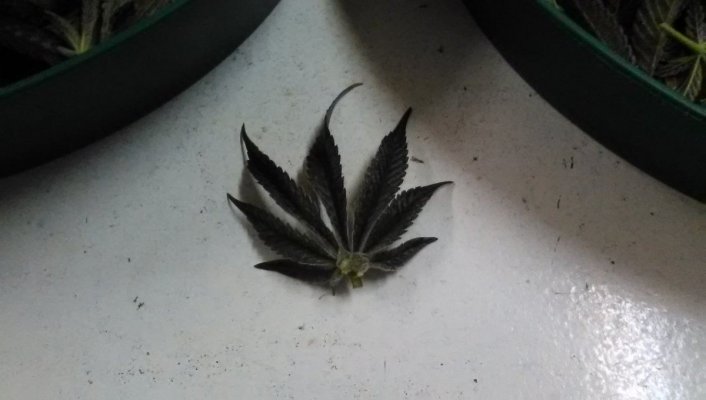 20180302_171732.jpg