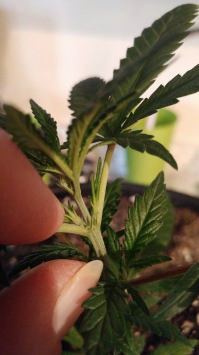 20180303_135157.jpg