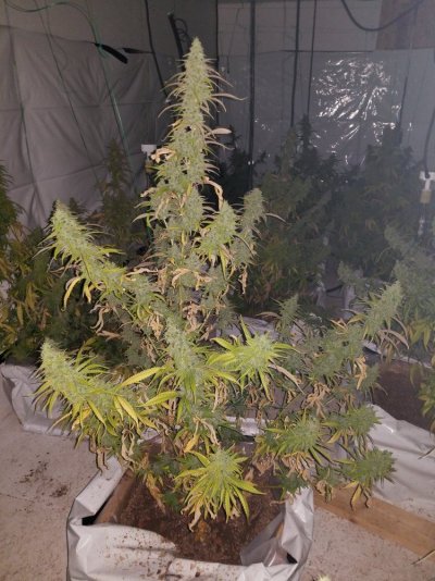 20180220_145140.jpg