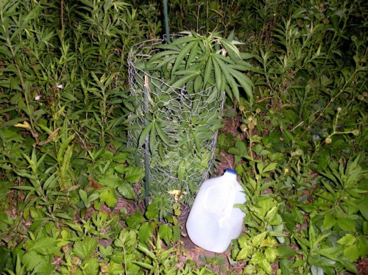 DSCN0672.jpg