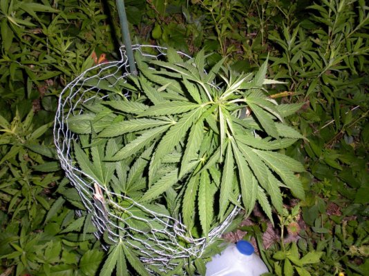 DSCN0673.jpg