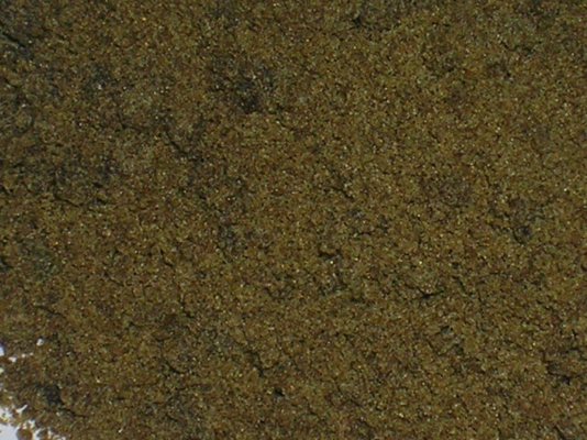 CJ harvest pics 042.jpg