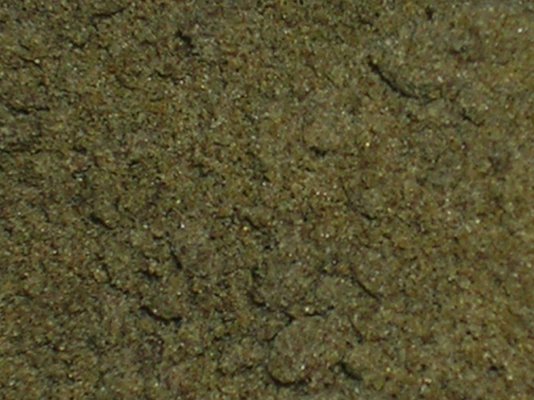 CJ harvest pics 043.jpg