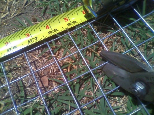 dulce-builds-a-compost-pile-2.jpg