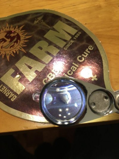 Barney's Critical Cure Cbd Seeds