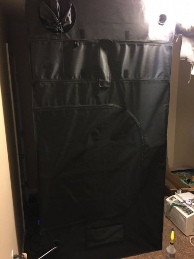 first-grow-gdp-gg4.jpeg