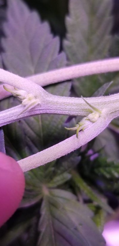 20180407_234820.jpg