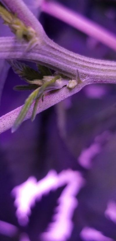 20180407_232632.jpg
