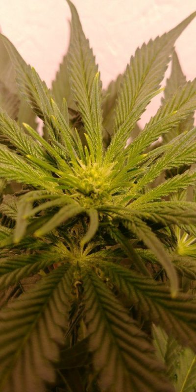 20180410_214806_HDR.jpg