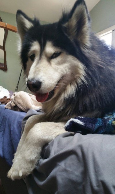 20180416_145927-1.jpg