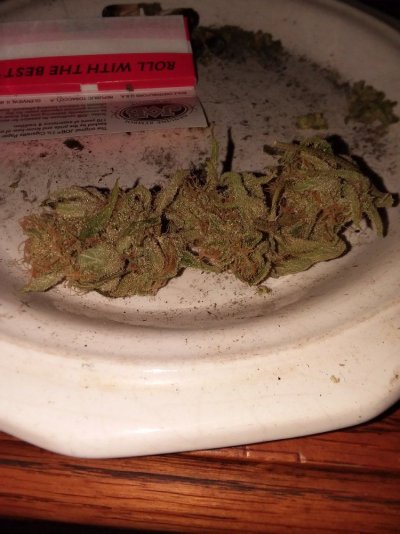 Let's See Your Frostiest Flowers