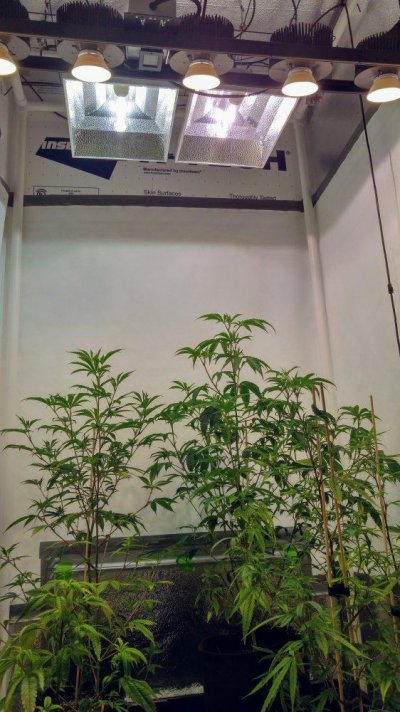 0505182027_HDR.jpg