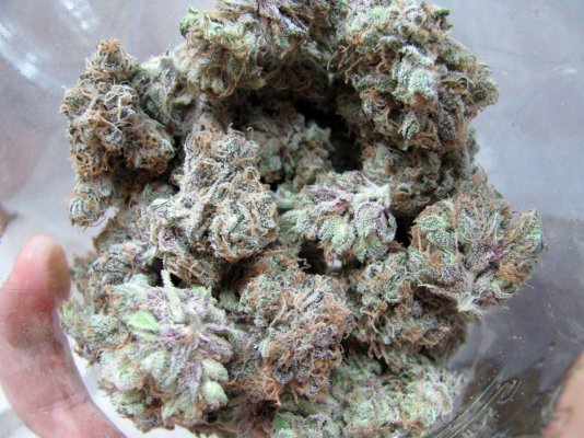 grape-ape-mrnice-grape-romulan-etc-dried-product-2.jpg