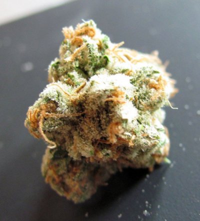 dried buds2 008.jpg