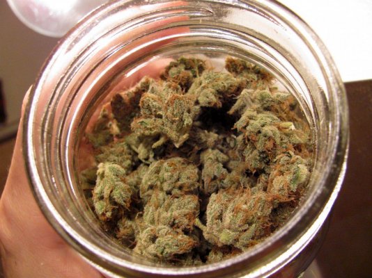 dried buds 014.jpg