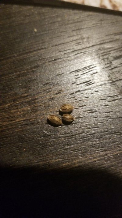 20180508_205418.jpg