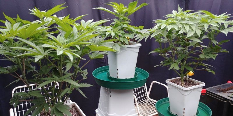 Outdoor day 9.jpg