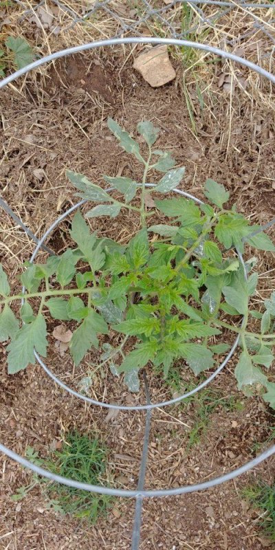 20180527_090752[1].jpg