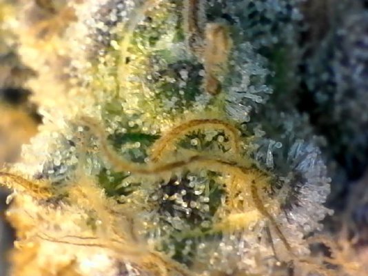 S20180529_014.jpg