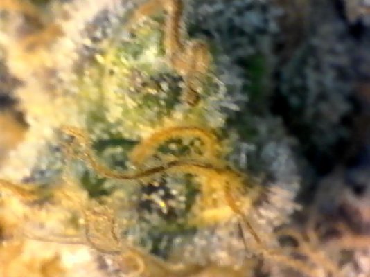 S20180529_016.jpg
