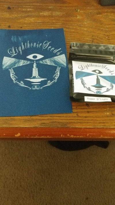 20180613_160306.jpg