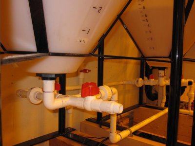 Veg.&Flwr. Rooms 173.jpg