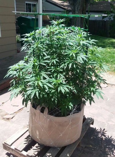 20180623_125425.jpg