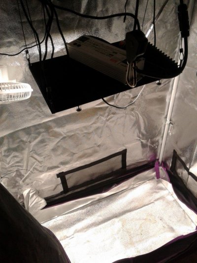 Tiny Tent....new Light