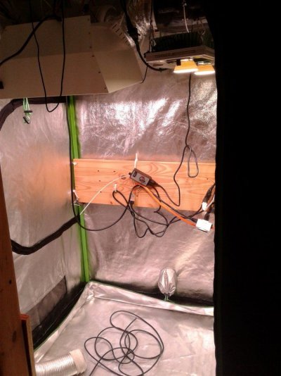 Tiny Tent....new Light