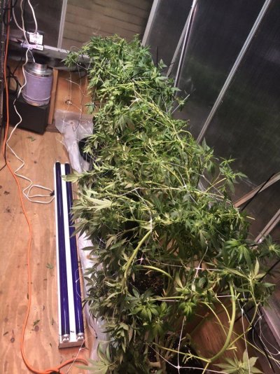 Heyo. New To The Forum