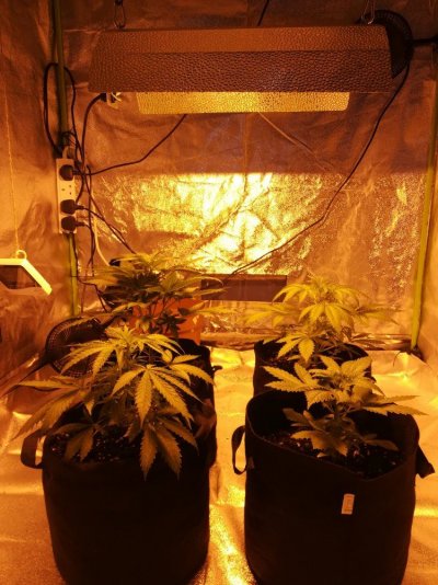 What Height Should I Flip To 12/12
