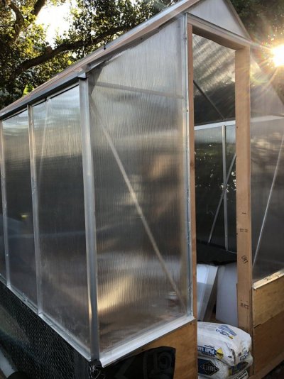 How Many Plants Can I Grow Outside Without Pissing Offneighbors Creating An Issue With City/lea