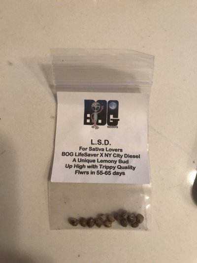 Bog Seeds Germination