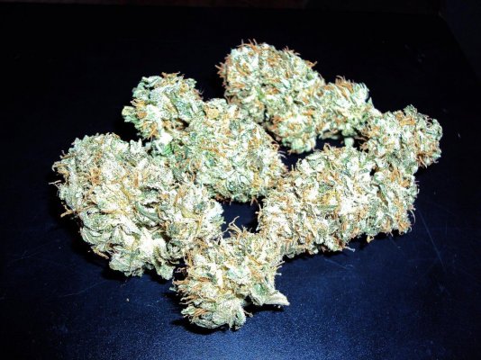 chem-d-dried-nug-shot.jpg