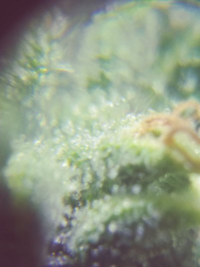 20180808_181233_Film4.jpg