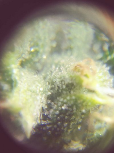 20180808_181005_Film4.jpg