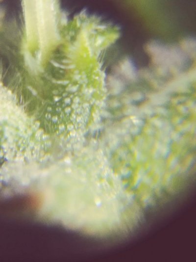 20180808_175145_Film4.jpg